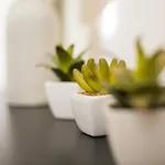 Apartmán Guest - Cedofeita Porto