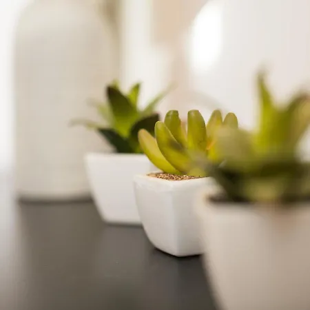 Apartment Guest - Cedofeita Porto