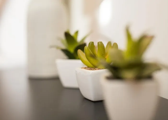 Apartment Guest - Cedofeita Porto